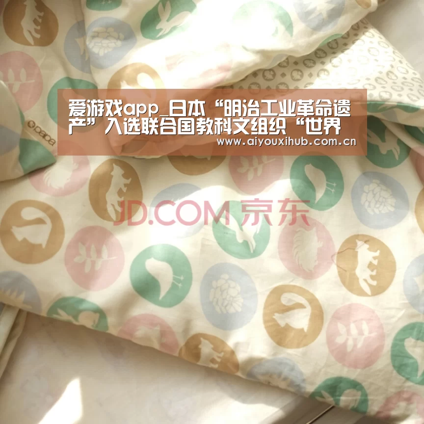 爱游戏官网