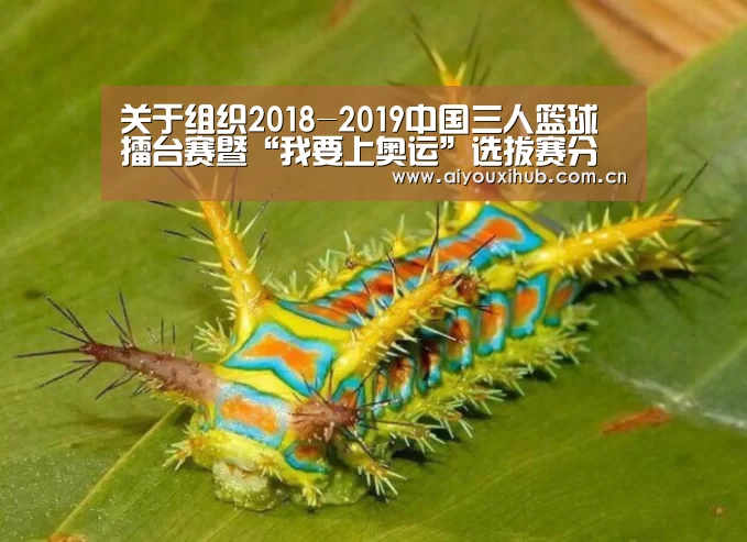 爱游戏官网