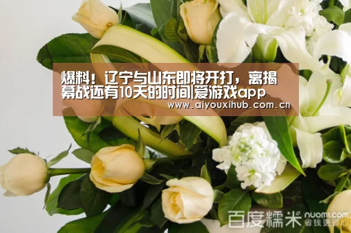 爱游戏体育下载
