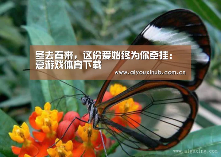 爱游戏