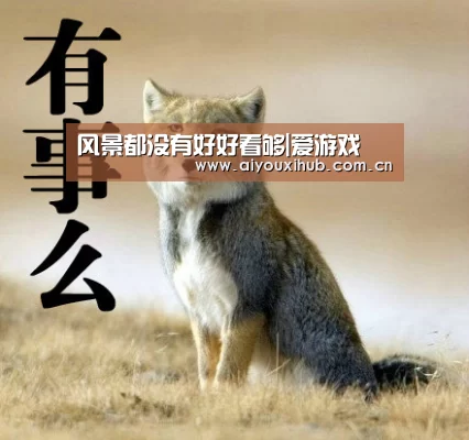 爱游戏官网