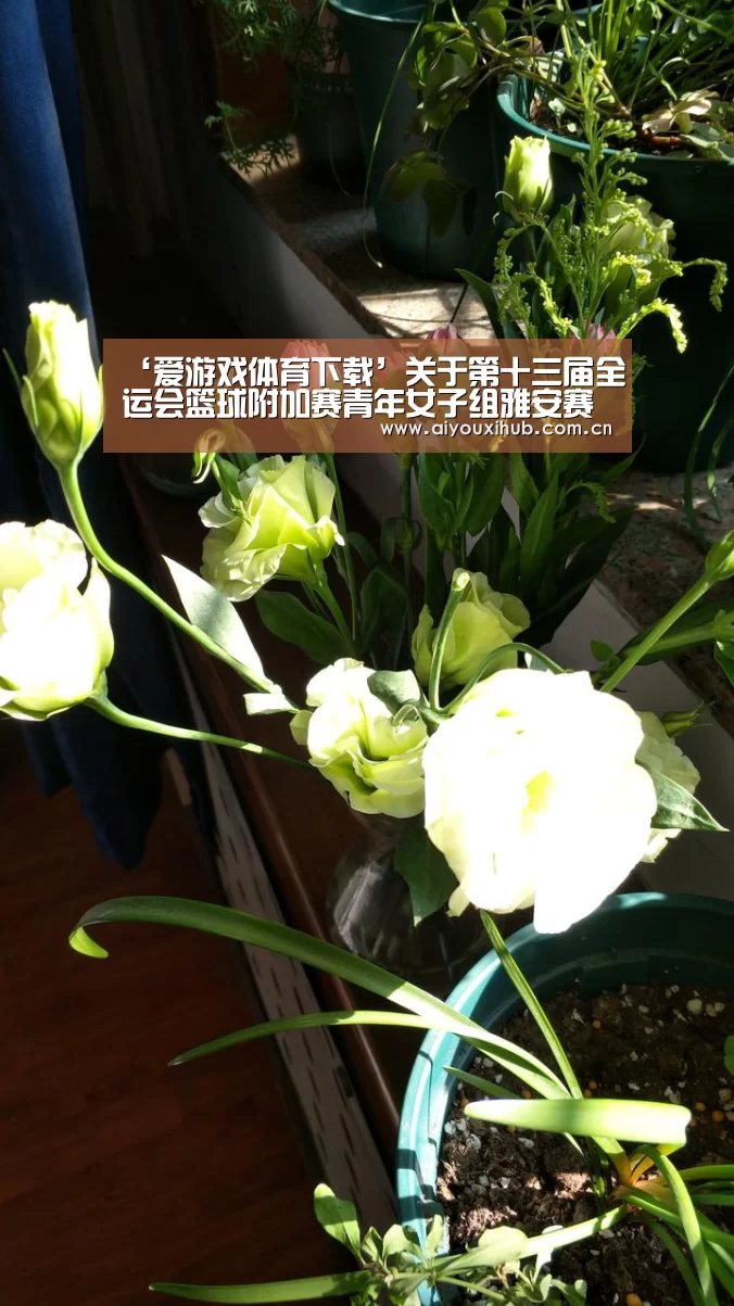 爱游戏app